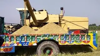 Rice Harvesting 2023
