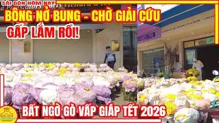 GẤP LẮM RỒI! Chờ GIẢI CỨU | Sài Gòn BÁT NGÁT BÔNG Chưa Tết NỞ BUNG | Phố Xá Gò Vấp GIÁP TẾT Ra Sao
