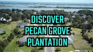 The Surprising Truth About Pecan Grove Plantation Nobody Tells You