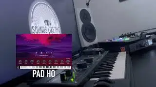 The 10 BEST Arturia Analog Lab Pro PAD Sounds