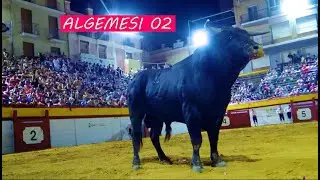 ALGEMESI 02 Primer Toro  Concurso de Recortes Nocturno,