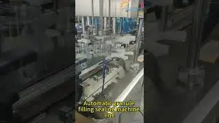 Automatic rotary granule filling sealing machine line