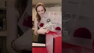 Make sure you protect your ornaments when you store them away