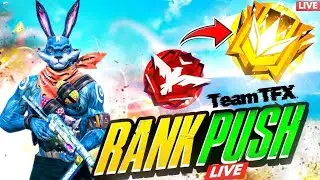 New Rank S49 Grandmaster Rank Push with team TFX 😍 #freefire #live #bunnyitself #ফ্রিফায়ার