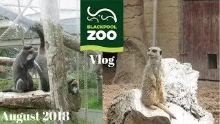 Blackpool Zoo Vlog - August 2018