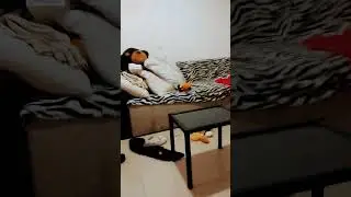 I am spawn on the bed☠☠☠☠💀💀💀💀