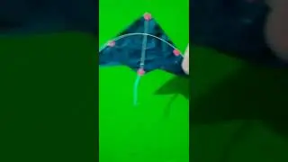 Delta Mini Kite | International Kite Make | #short #shorts #youtubeshort.
