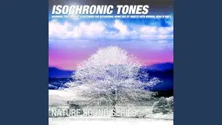 Isochronic Tones 2.0 Hz (Nerve-metaphysics) 06