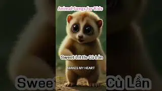 Sweet Little C&ugrave; Lần| Cute Animal Songs| Learn With Animals