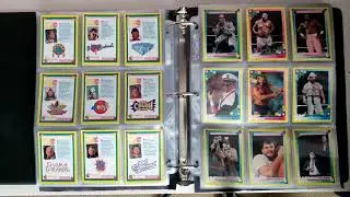 1993 WWF Merlin Wrestling Cards (🇩🇪)