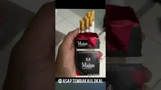 ROKOK MADAM BOLD. SKM FILTER. POLOS. #rokok #rokokfilter #tembakau #indonesia