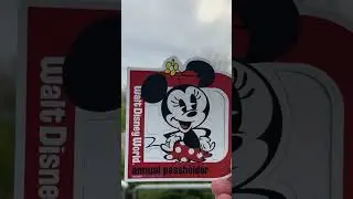 Annual Passholder magnet 🧲 #disney #vlog #disneyvlogger #familyvlog #minnie