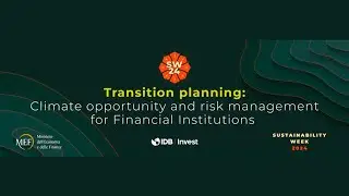 Transition planning: Climate opportunity and risk management for Financial Institutions
