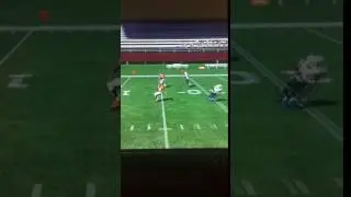 Madden 17 Post Patch 2 Glitch