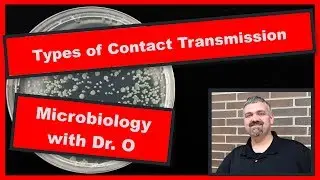 Types of Contact Transmission:  Microbiology