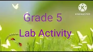 Grade 5 computer lab activity  - GGGS