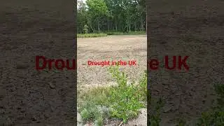 #drought in the #uk  It's not just an Australian thing