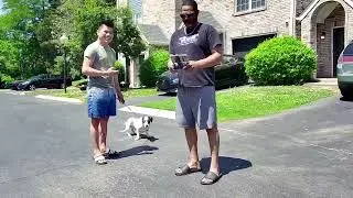 My neighbor admiring #flyboi