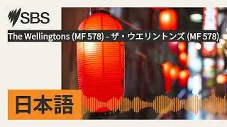 The Wellingtons (MF 578) - ザ・ウエリントンズ (MF 578) | SBS Japanese - SBSの日本語放送