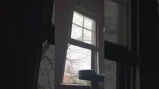 Albanian Moffia garage door,  flushing, kitchen,linked to Chemical Weapons System in ISIS cell 1509.