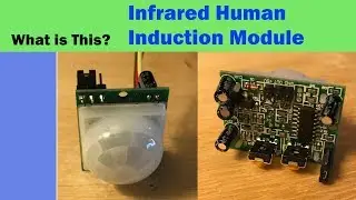 What is an Infrared Human Body Induction Module?