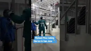 How will Misa perform in San Jose? 🤔 (via @SanJoseSharks/TT)