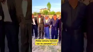 Mukemmel xerzani #halay #music #kurdish #gowend
