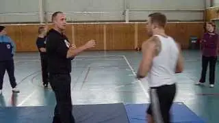 MMA vs Wing Chun