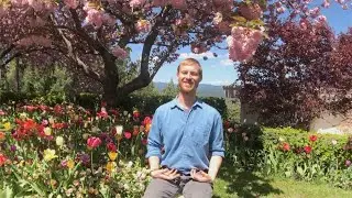 Meditation  under the Kwanzen Cherry Tree with Greg Traymar