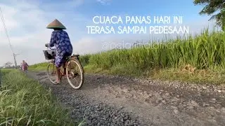 CUACA PANAS !!! hari ini, terasa sampai pedesaan #cuacaecstream #cuacapanas #sawah #sawahpedesaan 