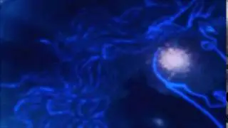 MMPR Season 2 DaiEdit Morph