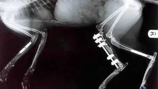 Electro House  Music  Beat Mix 2010  Xyang