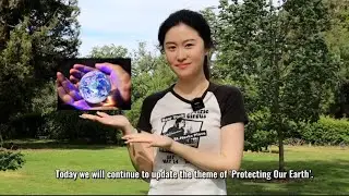 Lucy's Chanel-Plastic Restriction in Australia