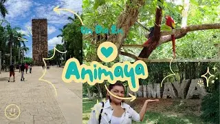 Un DIA en ANIMAYA🦁 | Descubriendo el ZOOL&Oacute;GICO de M&eacute;rida, Yucat&aacute;n 1 VANDIA VLOGS