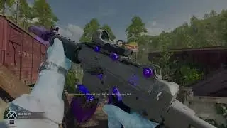 Krig C Bad Beat Weapon Inspection