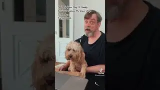 Hamill himself with his needy dog first video on tik tok