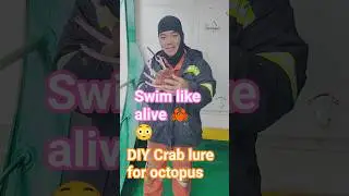 Ganda Ng langoy DIY crab lure for octopus #fishing #handmadelure #crab