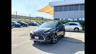 2020 Lexus RX 350 Black on Black - Ellectra Motors