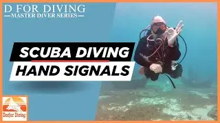 Important Scuba Diving 