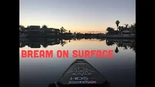 Patterson Lakes bream on OSP Bent Minnows