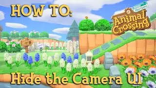 How To Hide UI in your Camera App [PATCHED] - Animal Crossing New Horizons