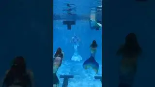 #mermaids and #mermen swimming together!! ☺️🧜🏽&zwj;♂️🌊🧜🏼&zwj;♀️ #mermay