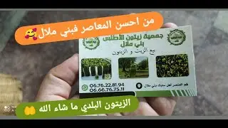موسم الزيتون✓ معصرة الأطلس بني ملال✓الزيتون البلدي✓الجودة و الإتقان و المذاق يا سلام