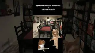 Типичная ДнД-сессия #днд #dnd #настольныеролевыеигры #нри #boardgames #cats #catsmemes #memes #meme