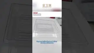 Thick Sheet Thermoforming Pro: Custom Parts & One-Stop Service