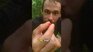 Most poisonous plant of the forest!