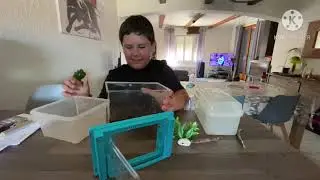 Comment nettoyer un vivarium pour lézard