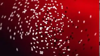 logo formation | text animation | after effects | logo intro | DM by saifix | name logo