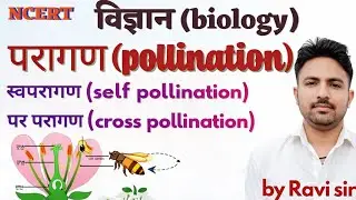 परागण (pollination) क्या है।स्वपरागण (self pollination) पर परागण(cross pollination)। विज्ञान science