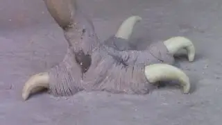 MAGIC SCULPT